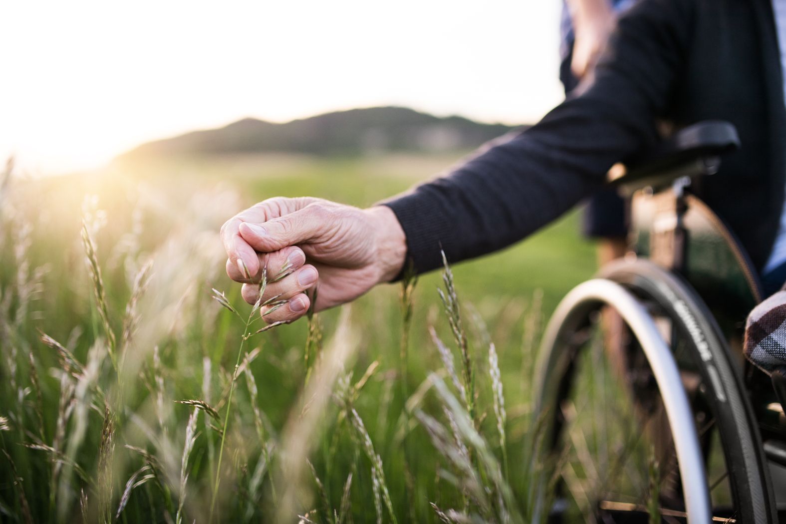 Hand einer Person im Rollstuhl greift nach Grashalmen in einer Sommerwiese bei Sonnenuntergang